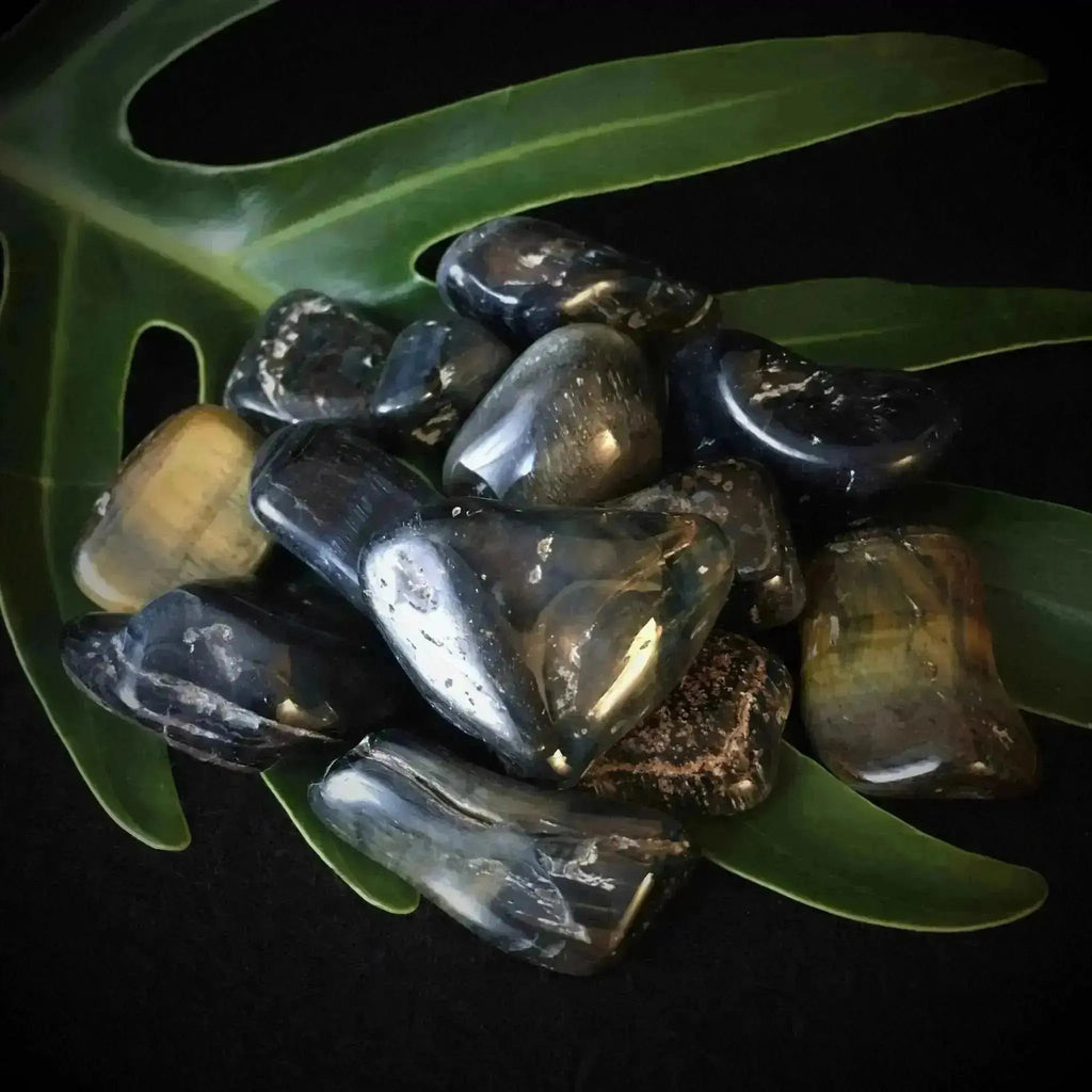 Blue Tiger Eye Tumble Stones - Crystal Visions Store
