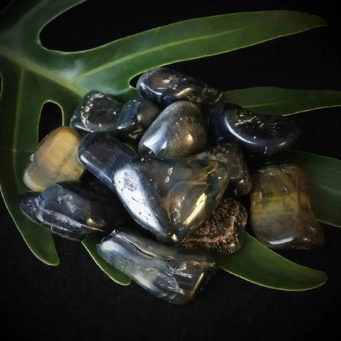 Blue Tiger Eye Tumble Stones - Crystal Visions Store