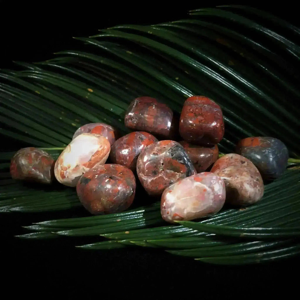 Brecciated Jasper Tumble Stones - Crystal Visions Store