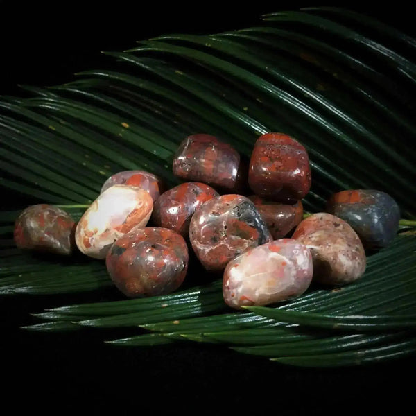 Brecciated Jasper Tumble Stones