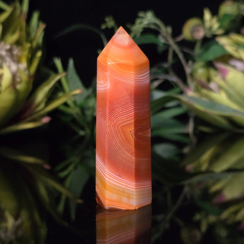 Carnelian Generator - Crystal Visions Store