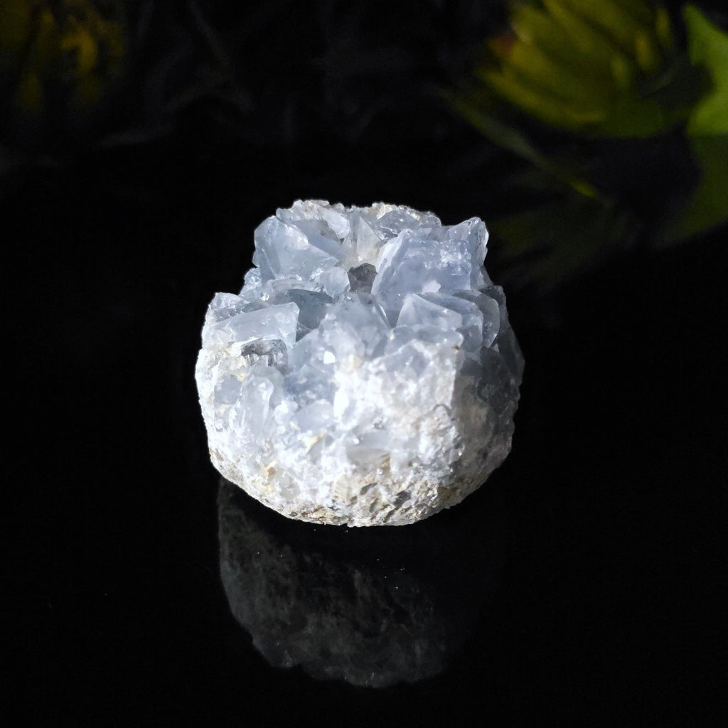 Celestite Cluster - Crystal Visions Store