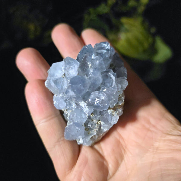 Celestite Cluster - Crystal Visions Store