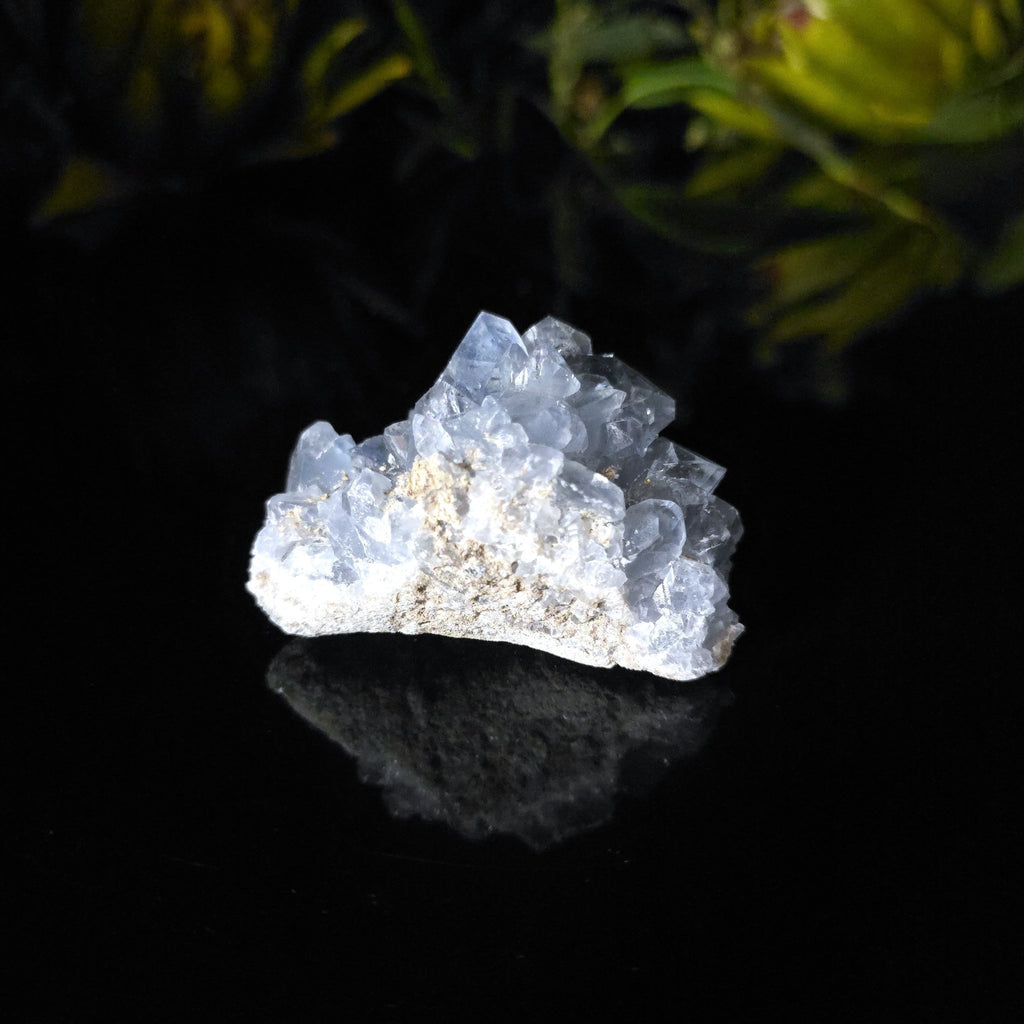 Celestite Cluster - Crystal Visions Store