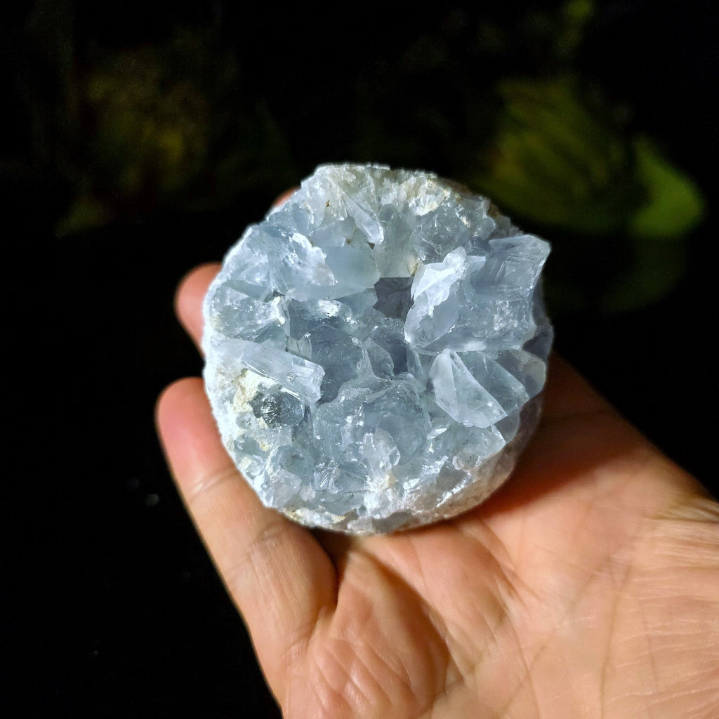 Celestite Cluster - Crystal Visions Store
