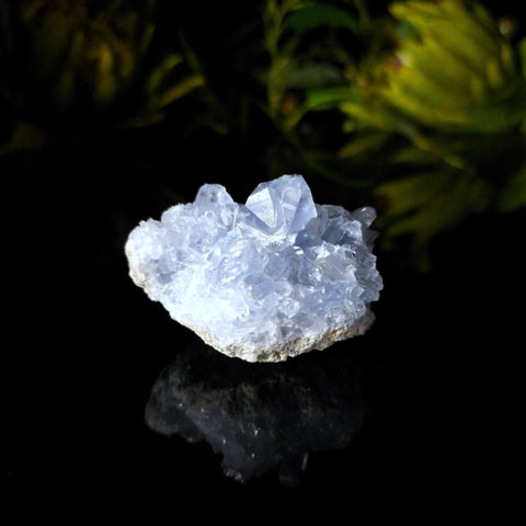 Celestite Cluster - Crystal Visions Store