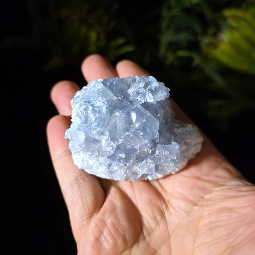 Celestite Cluster - Crystal Visions Store