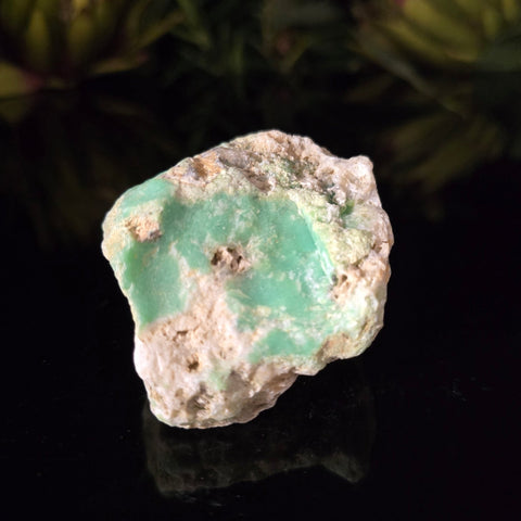 Chrysoprase - Crystal Visions Store