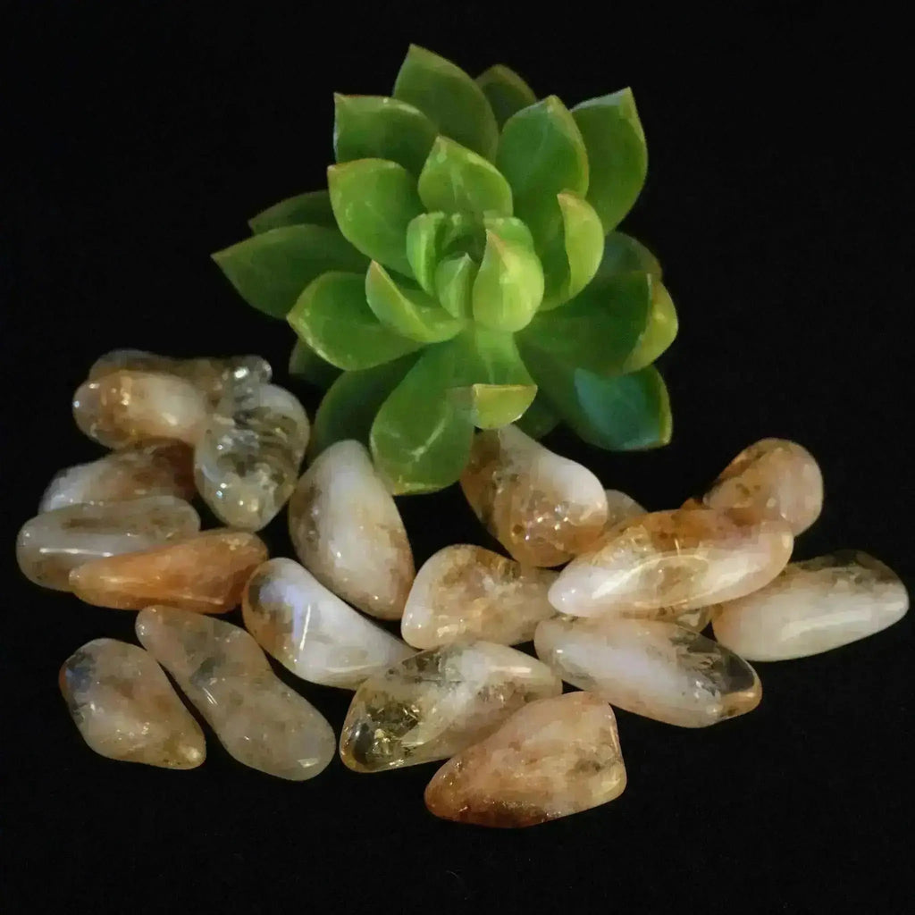 Citrine Tumble Stones - Crystal Visions Store