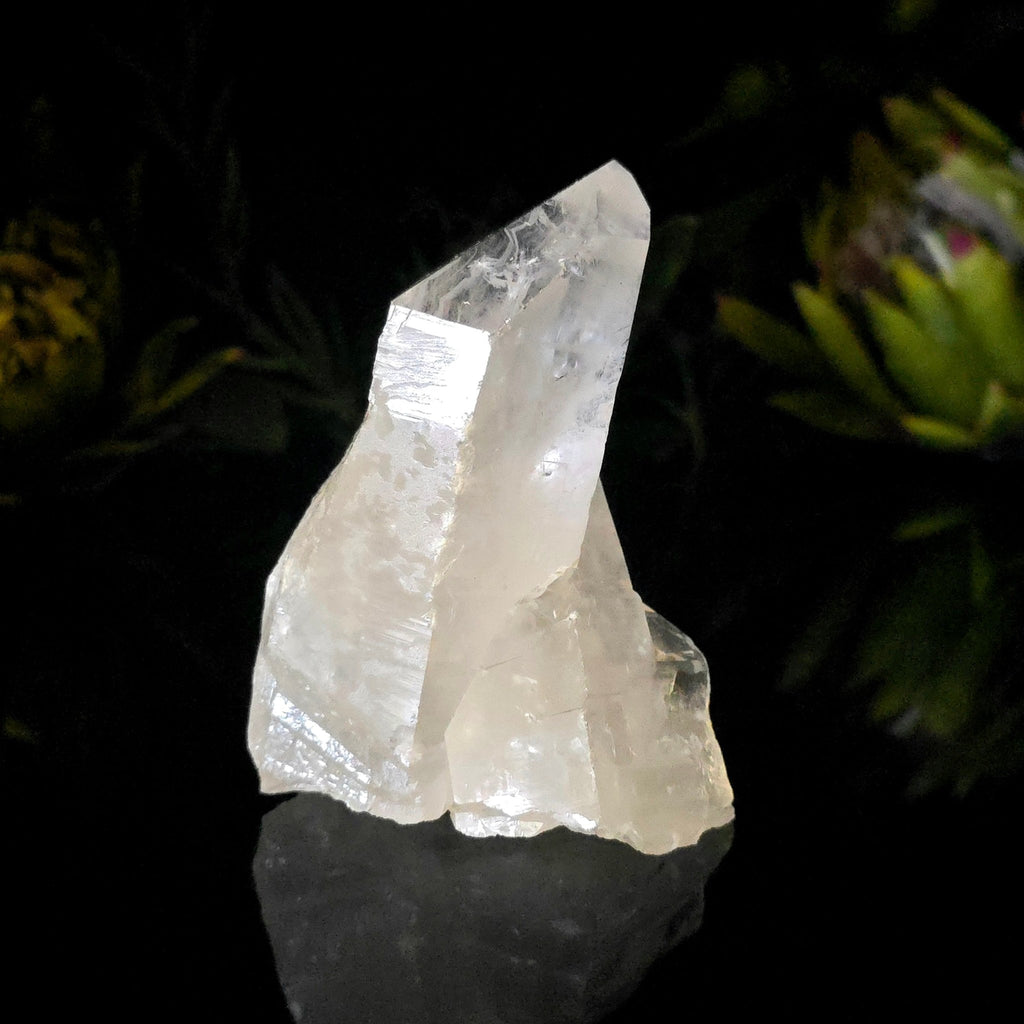 Clear Quartz Cluster - Crystal Visions Store