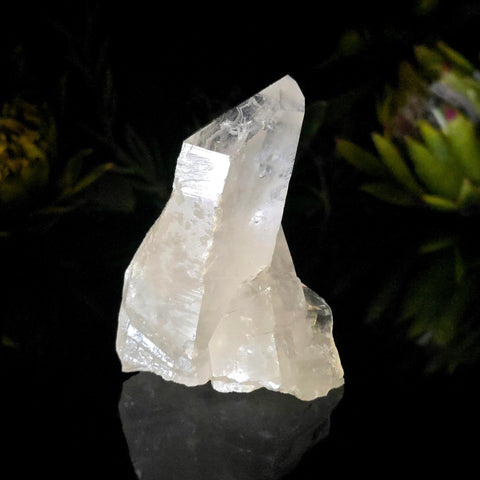 Clear Quartz Cluster - Crystal Visions Store