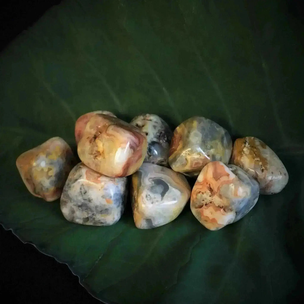 Crazy Lace Agate Tumbles Stones - Crystal Visions Store