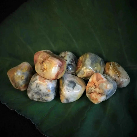 Crazy Lace Agate Tumbles Stones - Crystal Visions Store