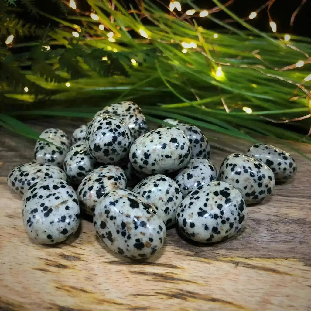 Dalmatian Jasper Tumble Stones - Crystal Visions Store