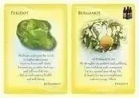 Essential Oils and Gemstone Guardians Cards - Crystal Visions Store