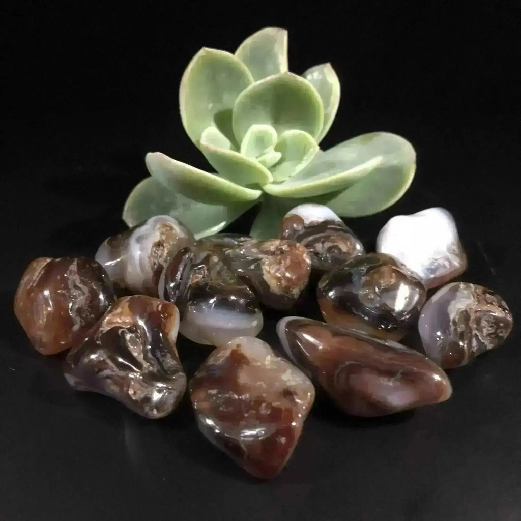 Fire Agate Tumble Stones - Crystal Visions Store