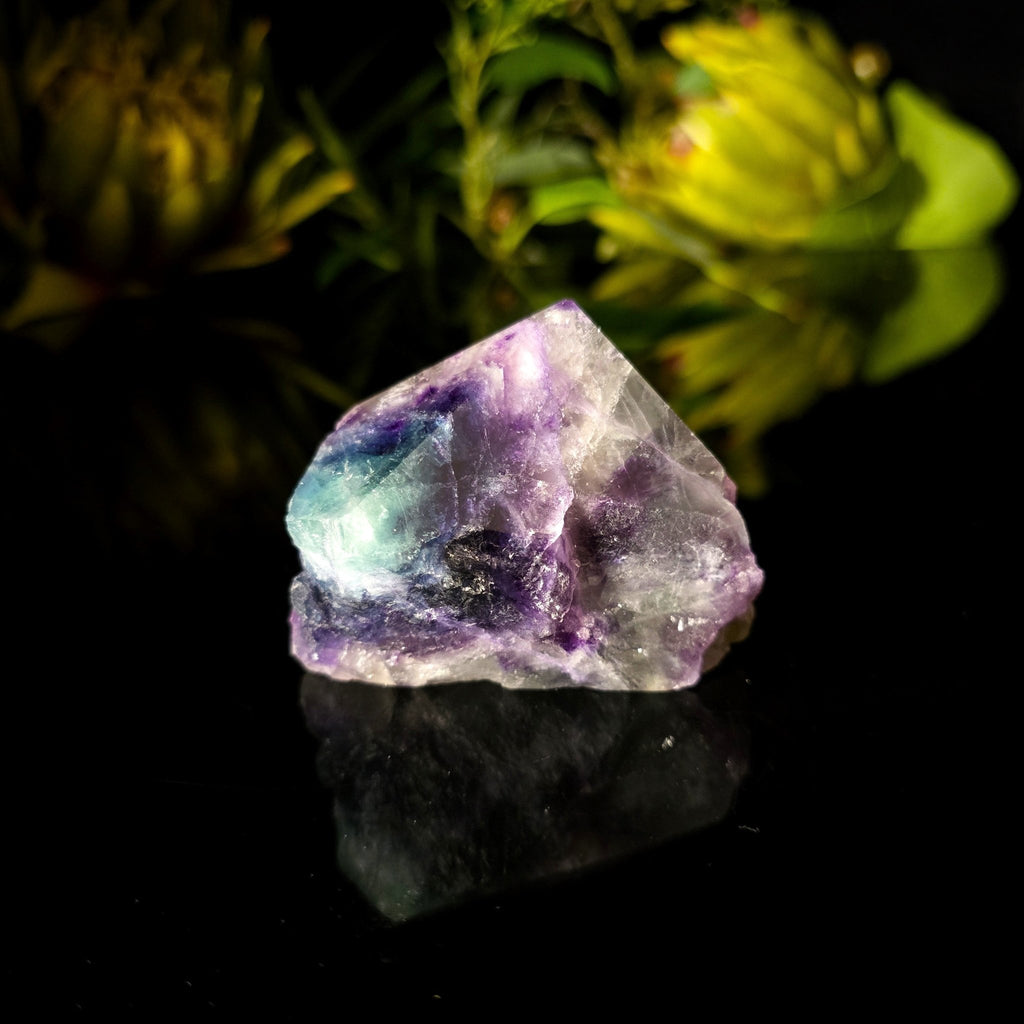 Fluorite Polished Point - Crystal Visions Store