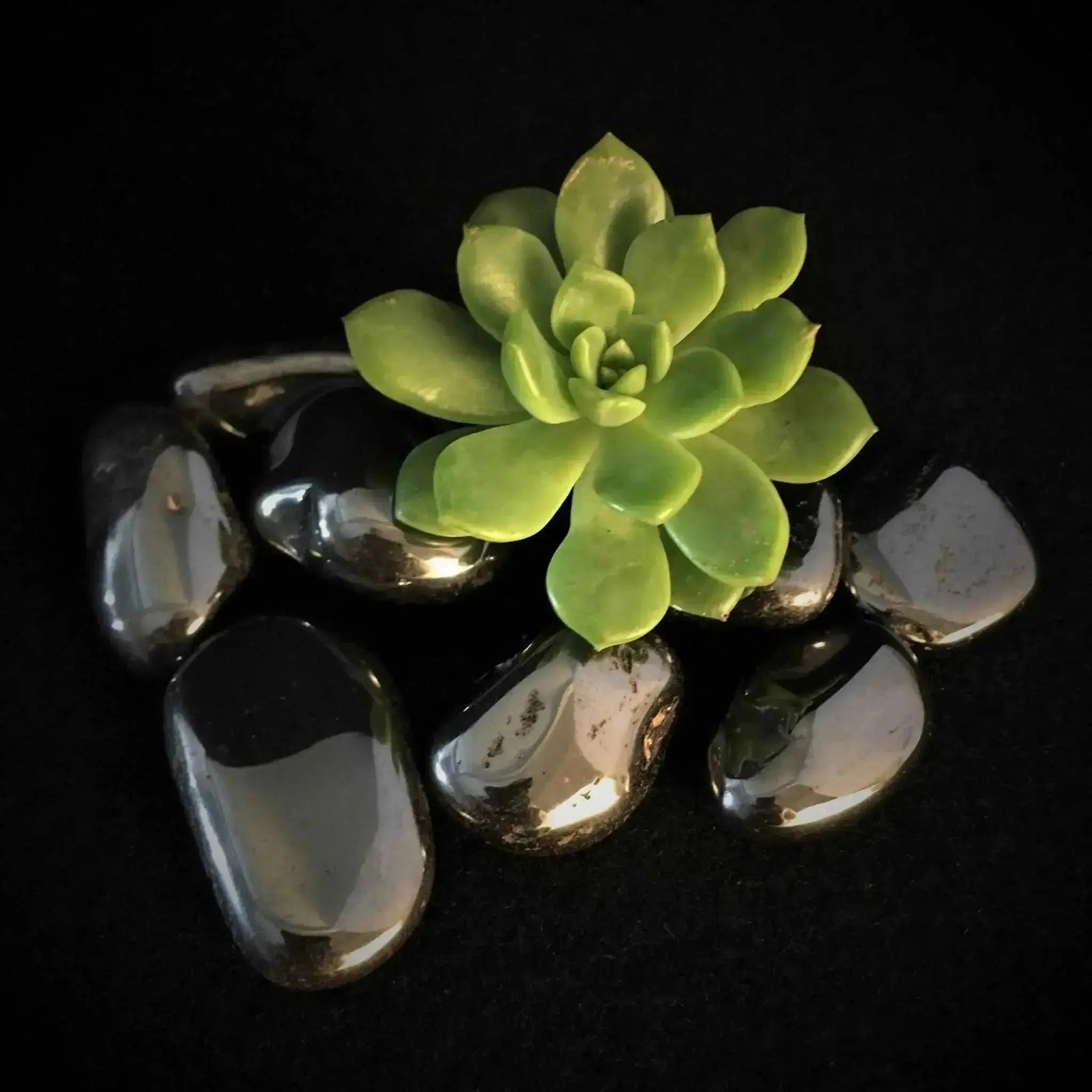 Hematite Tumble Stones - Crystal Visions Store