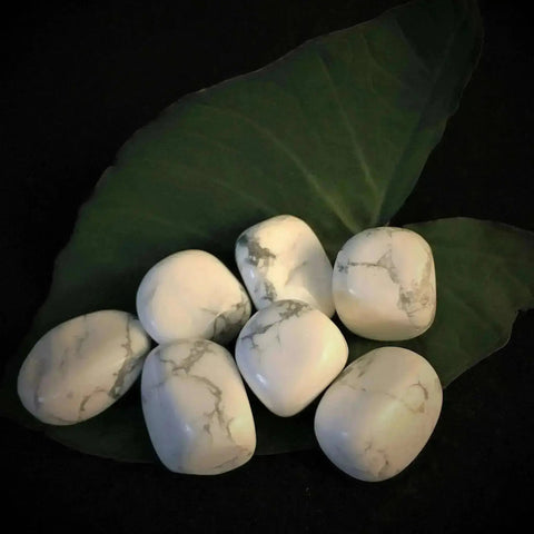 Howlite Tumbles Stones - Crystal Visions Store