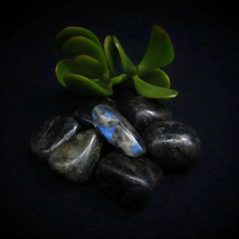 Labradorite Tumble Stones - Crystal Visions Store