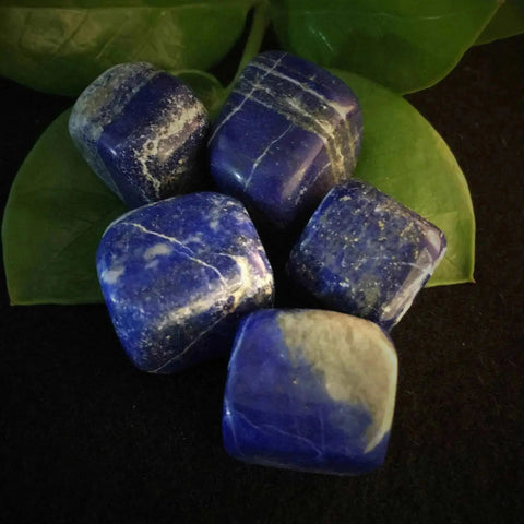 Lapis Lazuli Tumble Stones - Crystal Visions Store