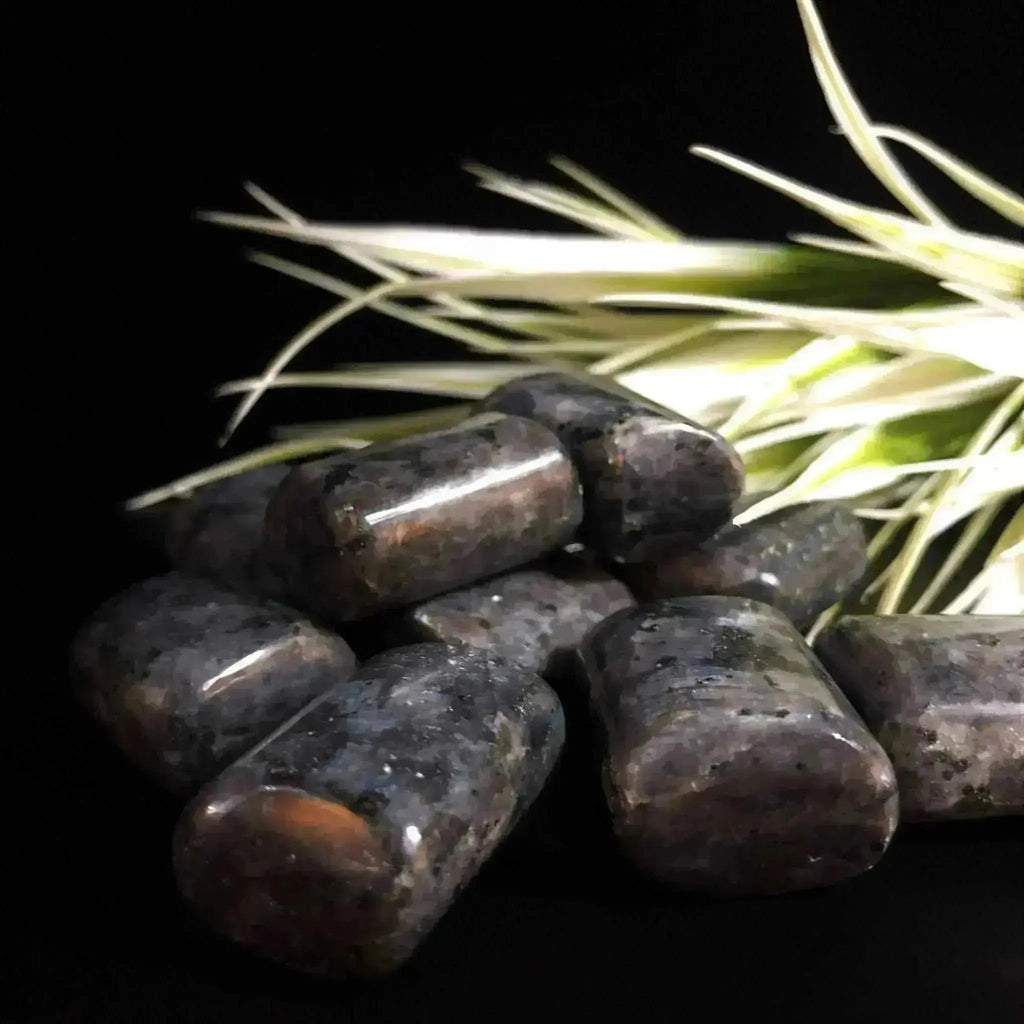 Larvikite Tumble Stones - Crystal Visions Store