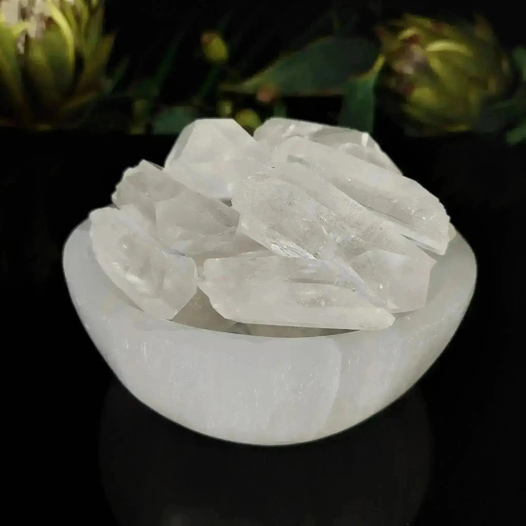 Lemurian Natural Points - Crystal Visions Store