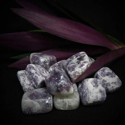 Lepidolite Tumble Stones - Crystal Visions Store