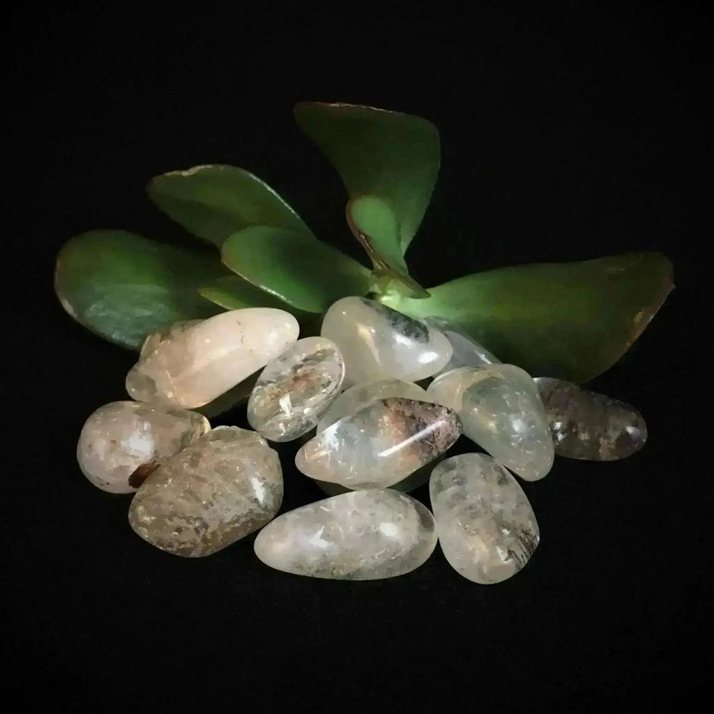 Lodalite Tumble Stones - Crystal Visions Store