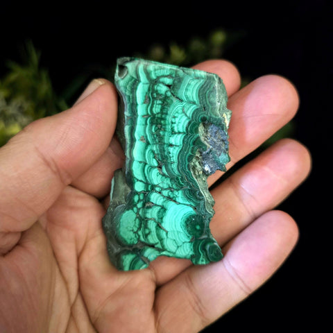 Malachite Slice - Crystal Visions Store