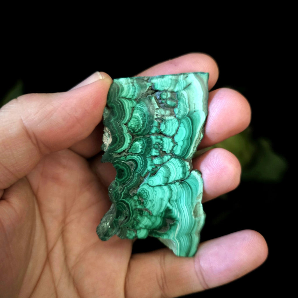 Malachite Slice - Crystal Visions Store