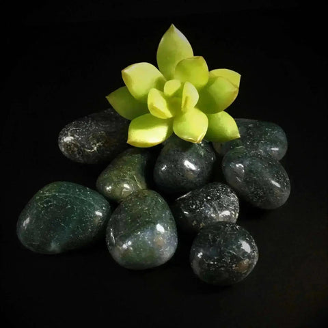 Moss Agate Tumble Stones - Crystal Visions Store