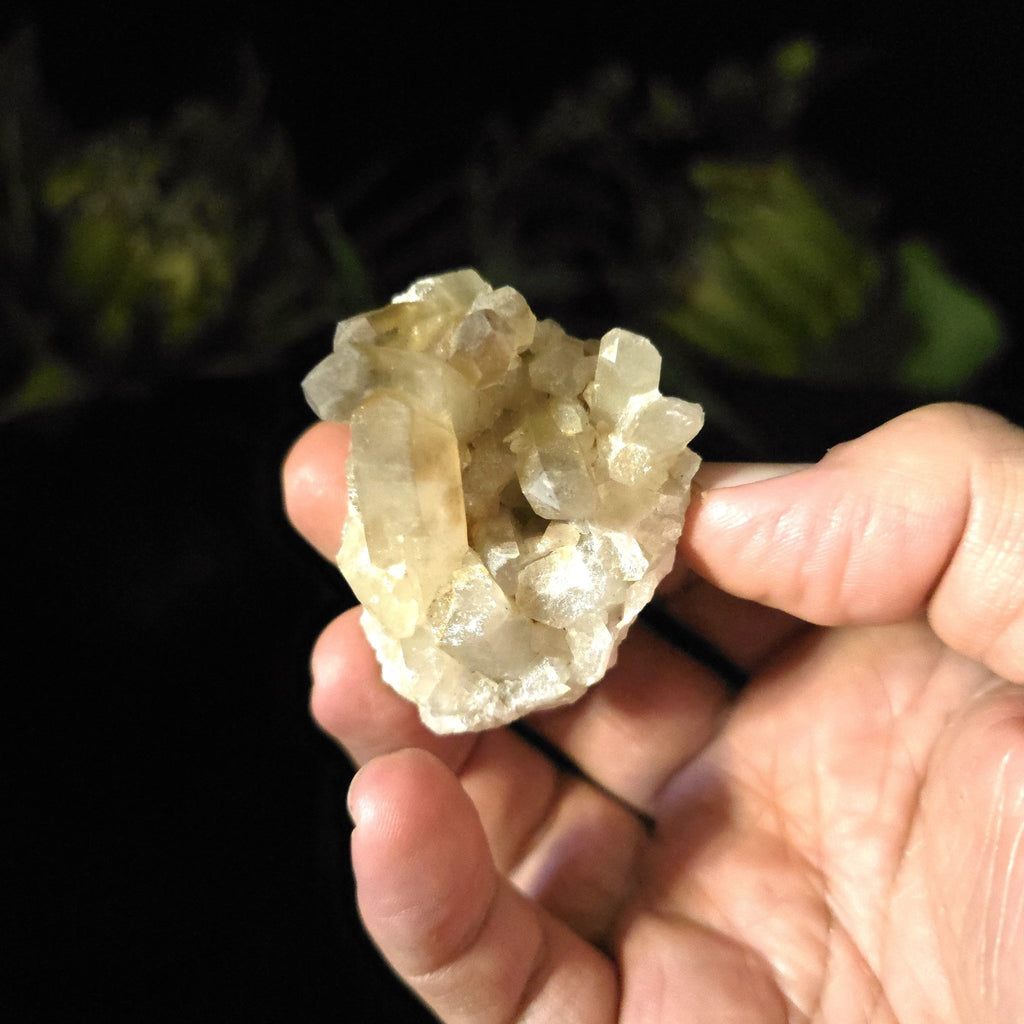 Natural Citrine Cluster - Crystal Visions Store