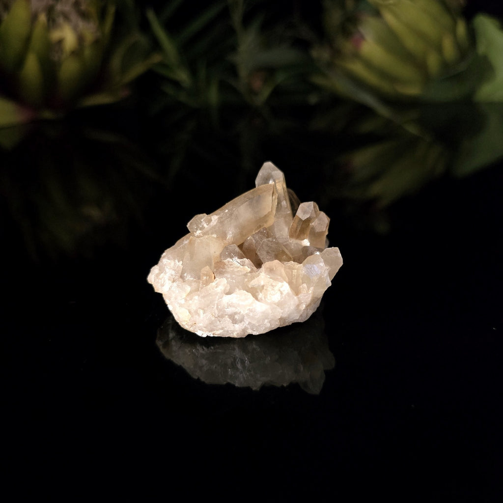 Natural Citrine Cluster - Crystal Visions Store