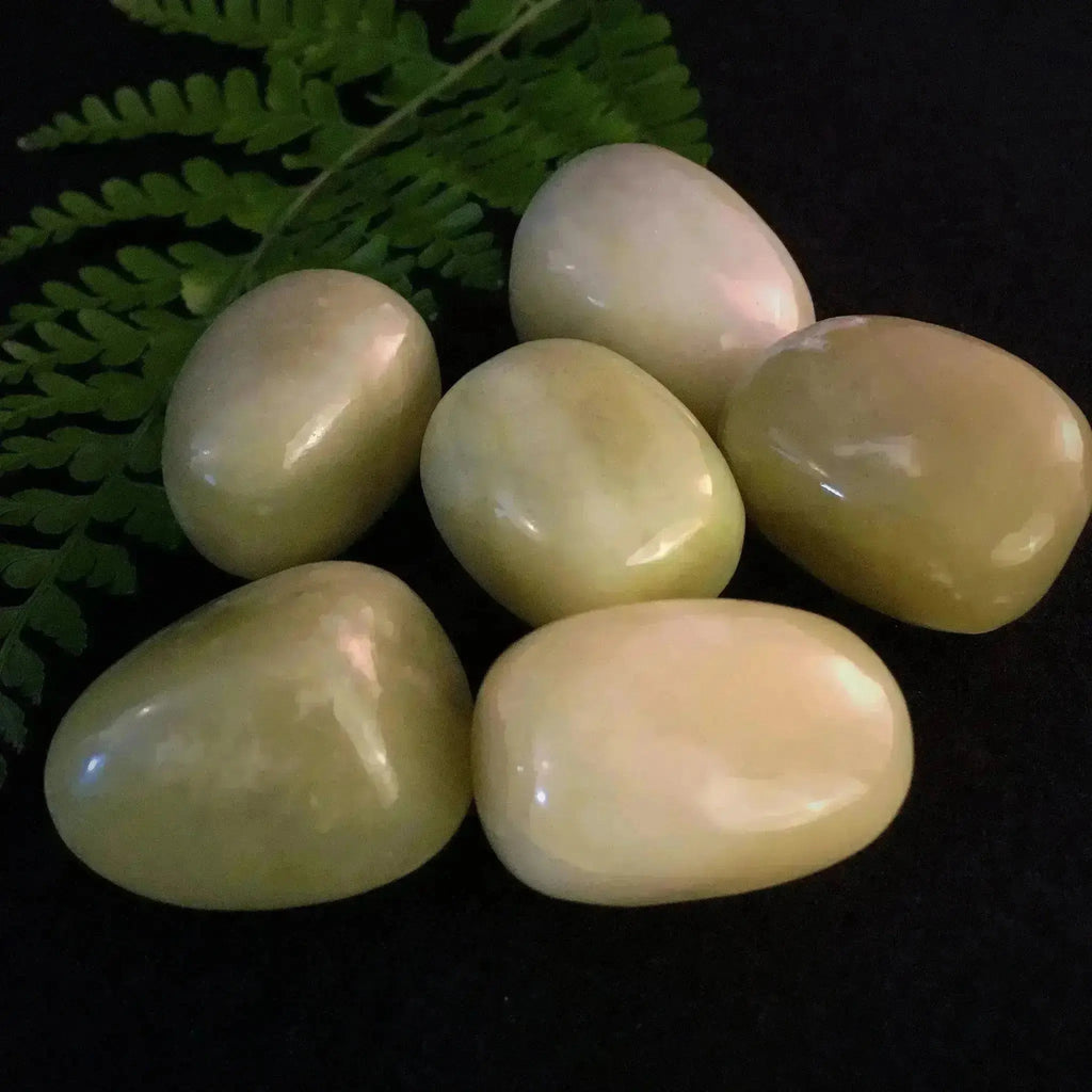 Olivine Jade Tumble Stones - Crystal Visions Store