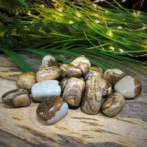 Picture Jasper Tumble Stones - Crystal Visions Store
