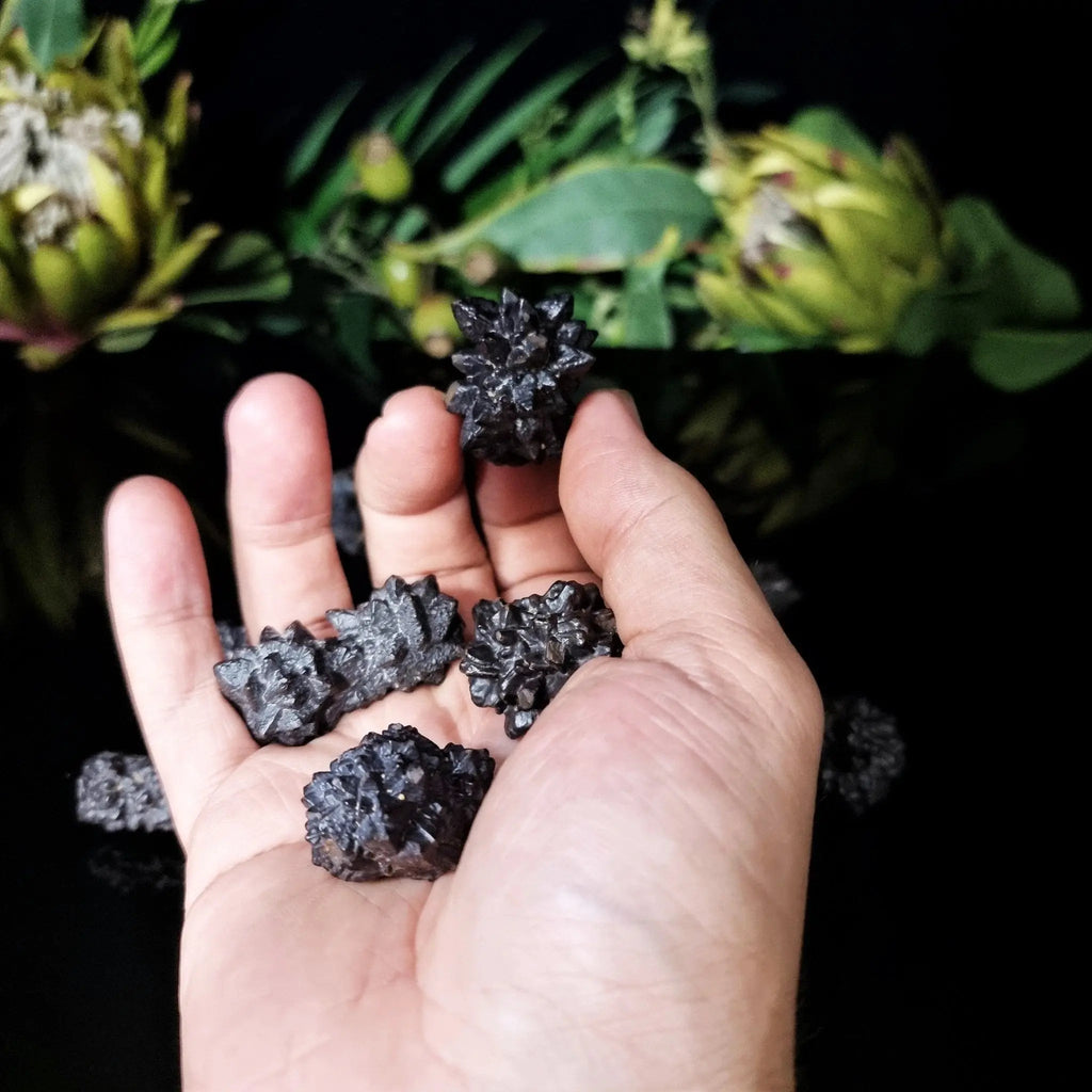 Prophecy Stones - Crystal Visions Store