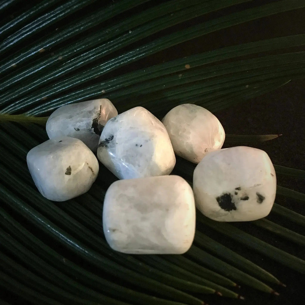 Rainbow Moonstone Tumble Stones - Crystal Visions Store