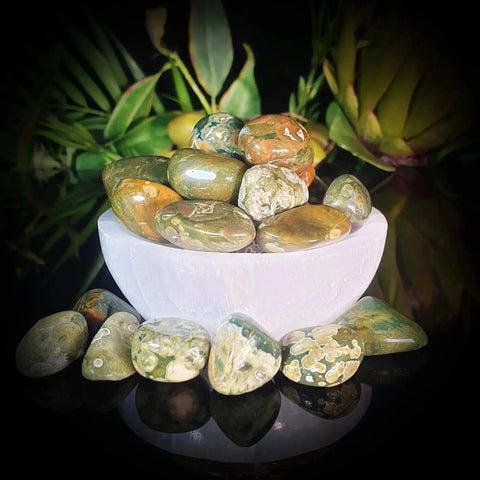 Rainforest Jasper Tumble Stones - Crystal Visions Store