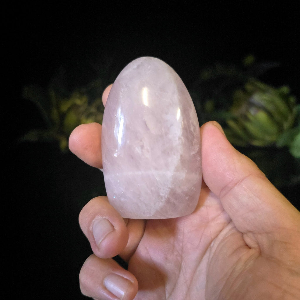 Rose Quartz Dome - Crystal Visions Store