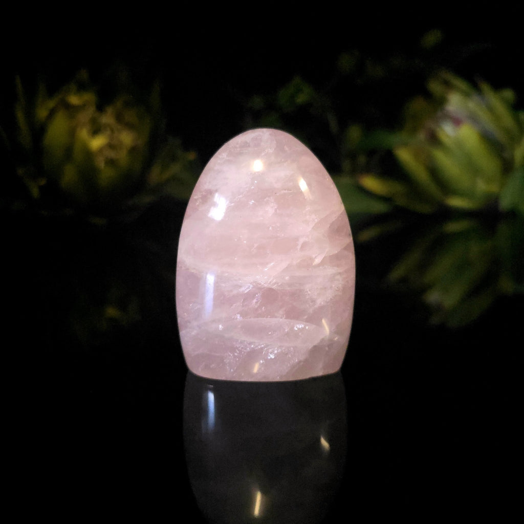 Rose Quartz Dome - Crystal Visions Store