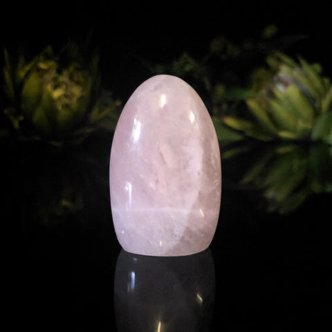 Rose Quartz Dome - Crystal Visions Store