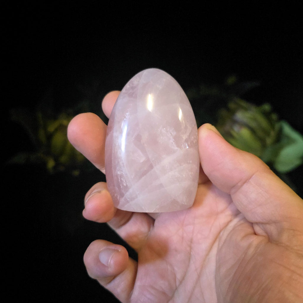 Rose Quartz Dome - Crystal Visions Store