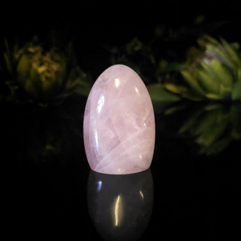Rose Quartz Dome - Crystal Visions Store