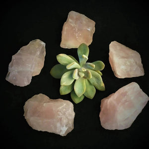 Rose Quartz Roughs - Crystal Visions Store
