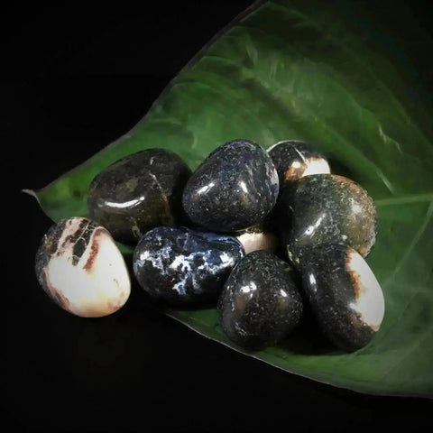 Sardonyx Tumble Stones - Crystal Visions Store