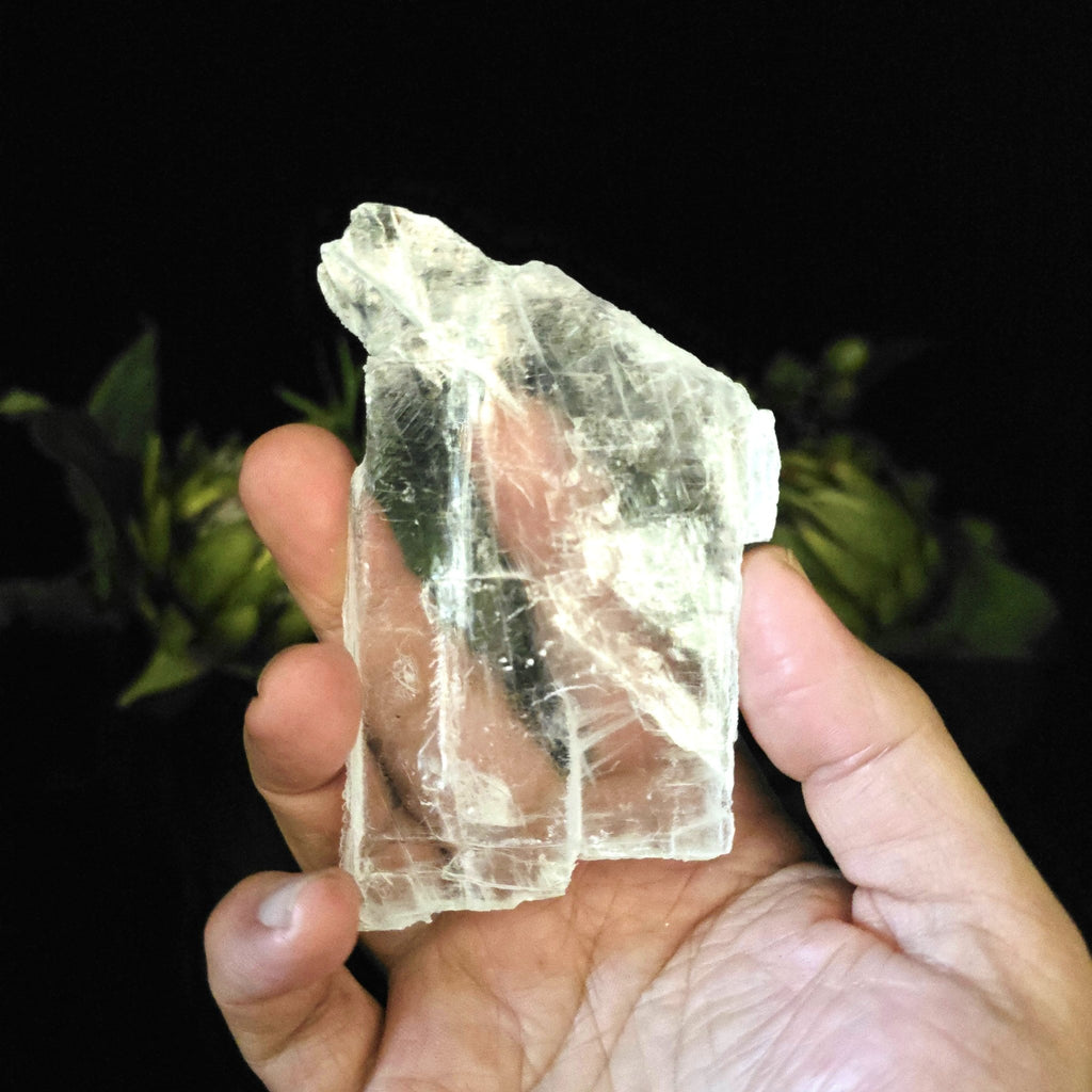 Selenite - Clear Window - Crystal Visions Store
