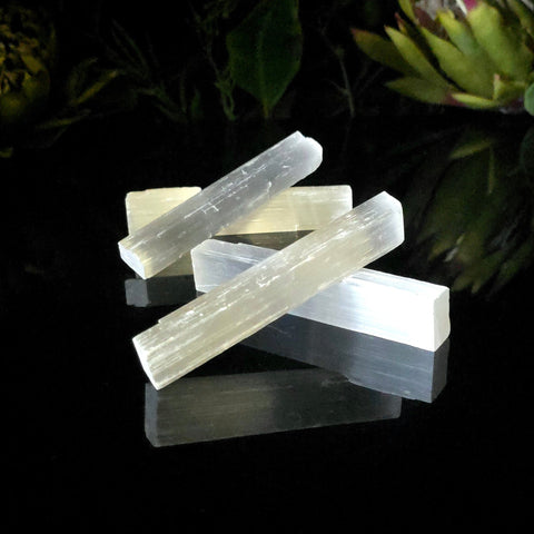 Selenite Logs - Crystal Visions Store