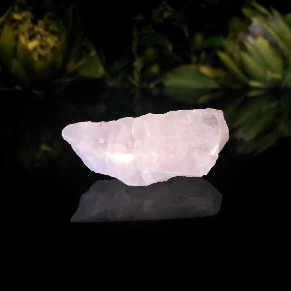 Semi - Polished Rose Quartz - Crystal Visions Store