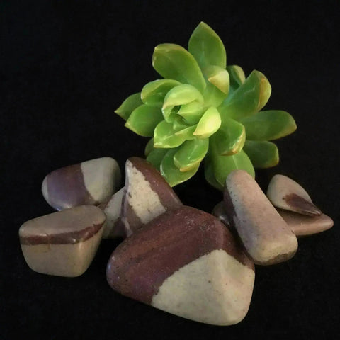 Shiva Lingam Tumble Stones - Crystal Visions Store